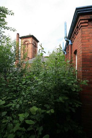 Water Tower sm.jpg